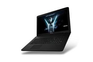 Medion Erazer P7643 Notebook - Poker Laptop